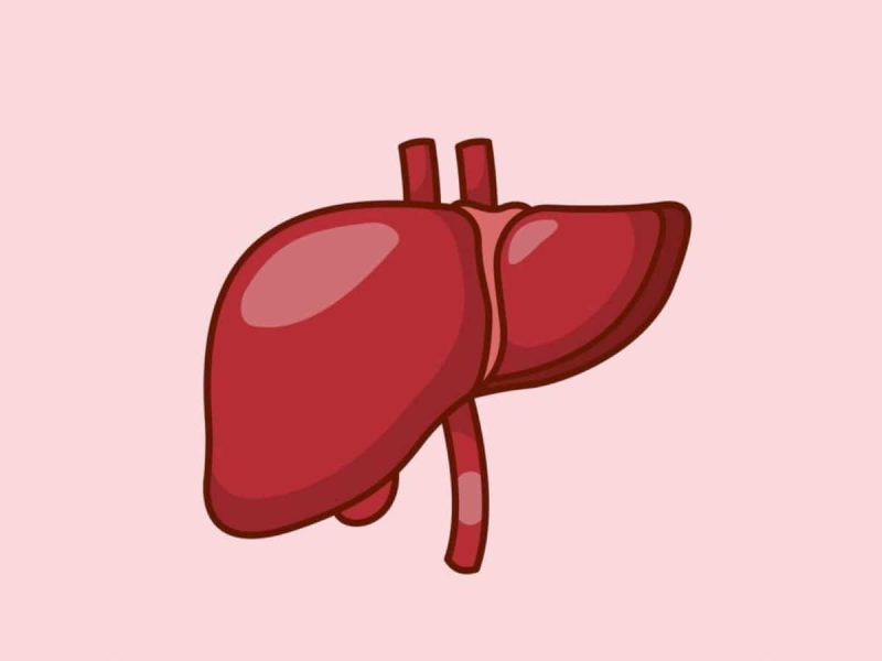 KLHKASaM-Untitled-design-76-1200x900