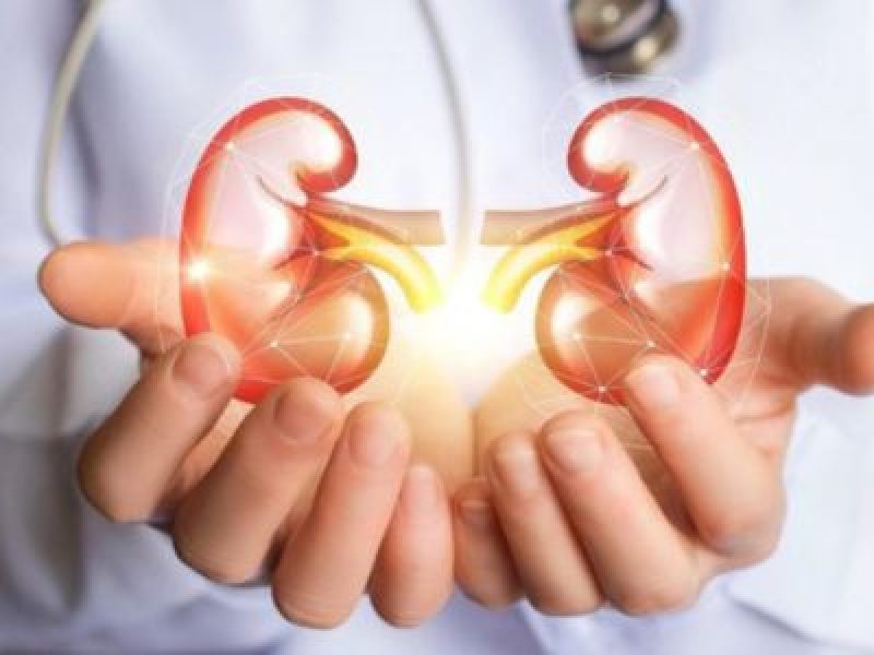 Untitled design (26)