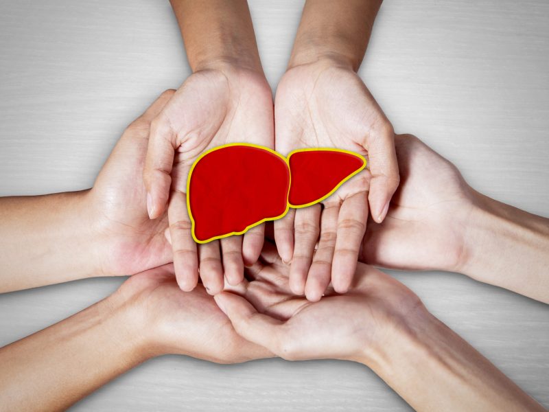 World hepatitis day concept. Close up of three people hands holding liver organ with table background