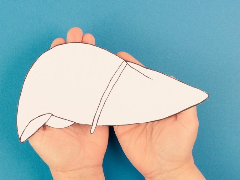 liver-organ-world-hepatitis-day-diagnosis-cancer-cirrhosis-health-issue-alcoholic-fatty-liver.jpg (1)