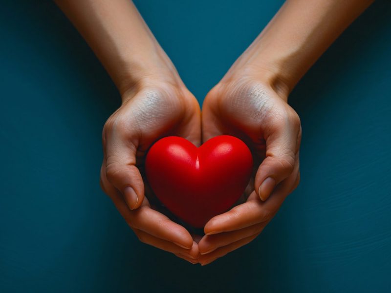 view-hands-holding-red-heart-represent-affection (1)